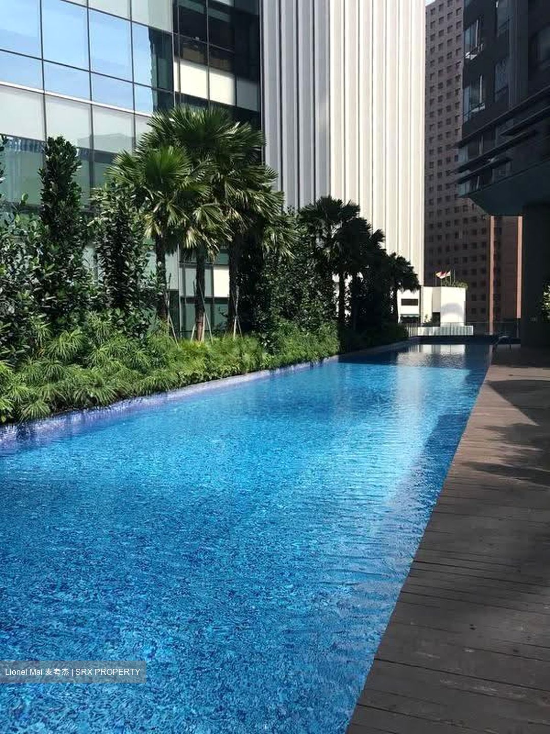 Skysuites@Anson (D2), Apartment #627963811